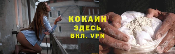 сатива Алзамай