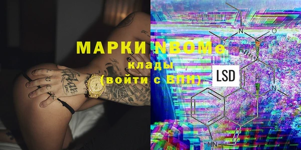 прущие грибы Арсеньев