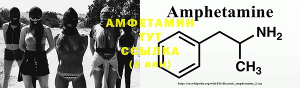 сатива Алзамай