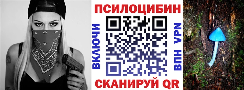 Псилоцибиновые грибы Psilocybe  Купить закладки  Таштагол 